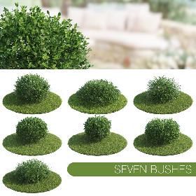 Seven Bushes